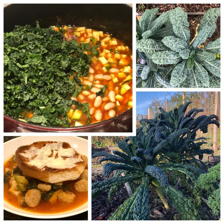 Toscaanse groentesoep Ribollita